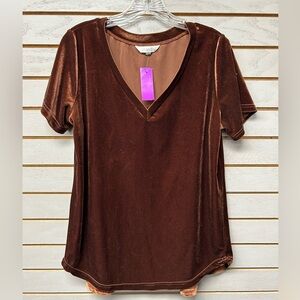 Amaryllis Chocolate Velvet V-Neck Short Sleeve Top
